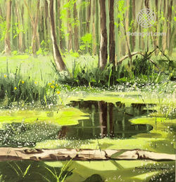 Forest Living