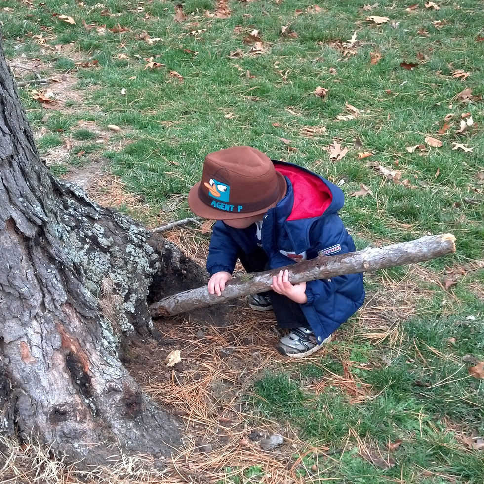 Guess Where the Cache Is
