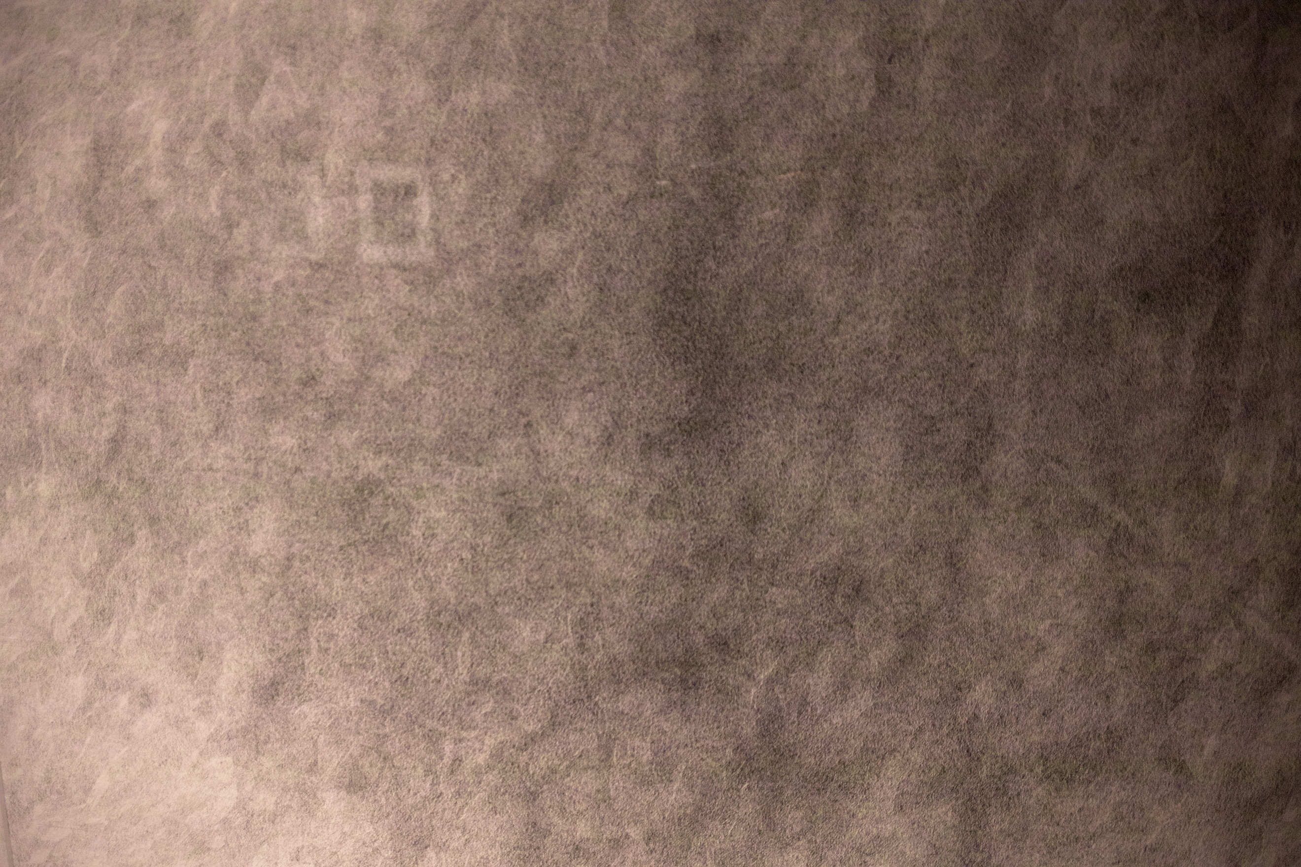 SDIM0178