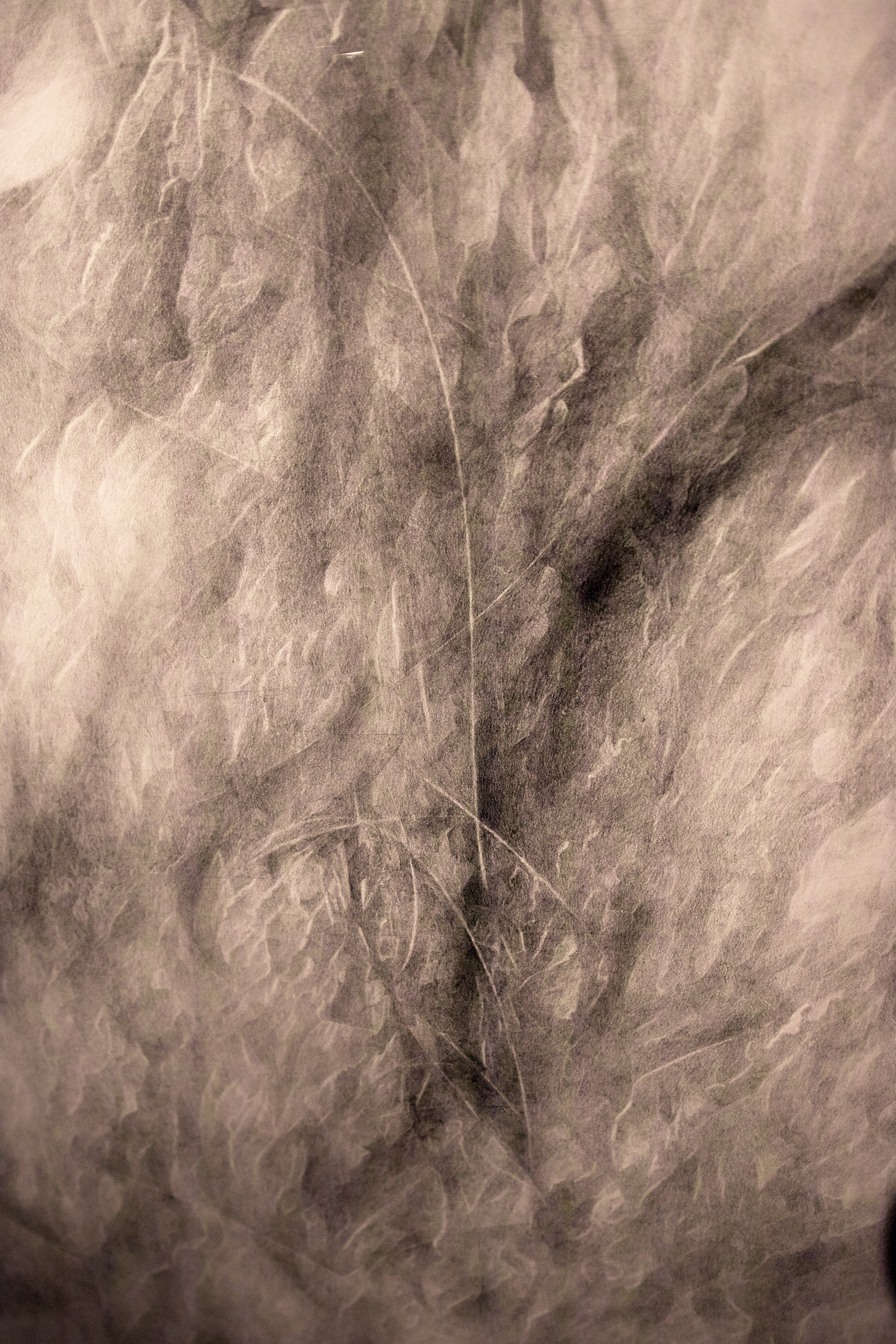 SDIM0179