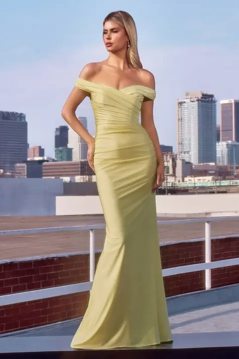 The Dressing Room Formal Dresses 