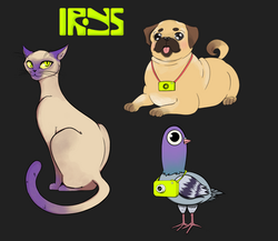 Irys_Animals_