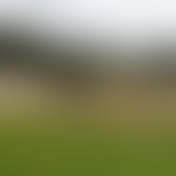 Tulleys Escape Rooms & Games