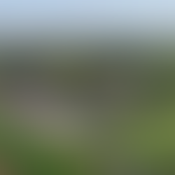 Lingfield Park Racecourse