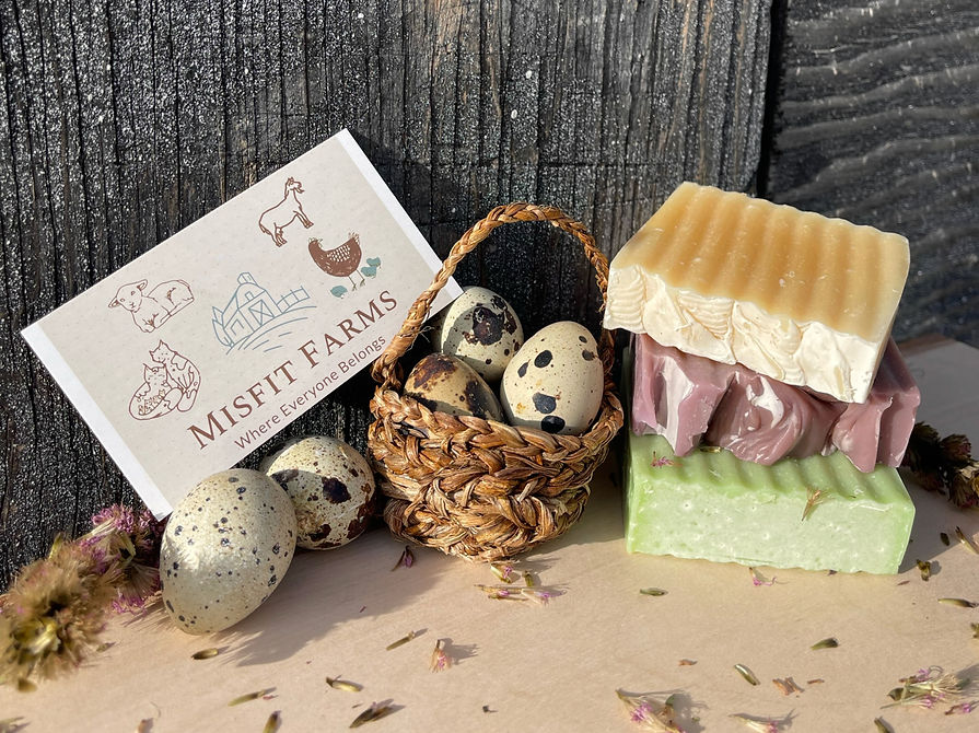 Quail Eggs Goat Milks Soap Misfit Farms
