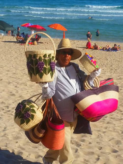 13254038_10210058916697340_1628548045109359432_n