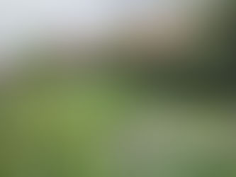 Le Jardin du Mont des Récollets, un secret bien gardé sur les hauteurs de Cassel