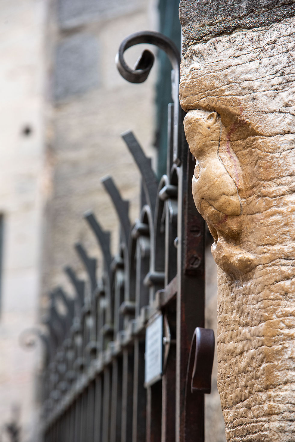 La chouette de Dijon par © Rozenn KREBEL / Côte-d’Or Attractivité