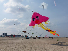 Berck-sur-Mer : ici, on ne regarde pas la mer. On la vit.
