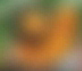 ประเภทของขนมหวานไทย