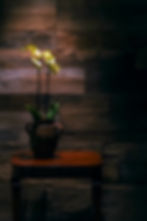 Wall Cladding - Rustic
