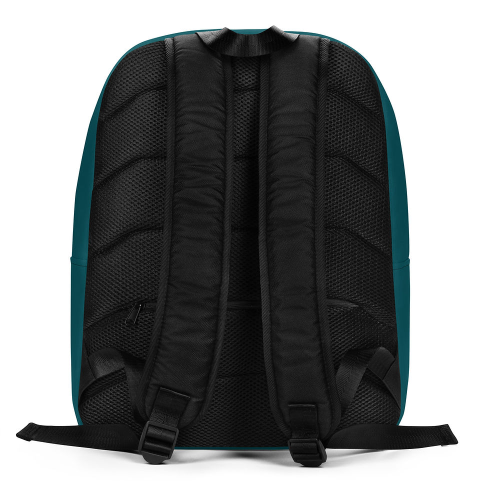 Thumbnail: LevelRR1 M1M Minimalist Backpack