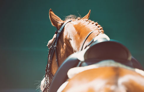 AdobeStock_220095632.jpeg