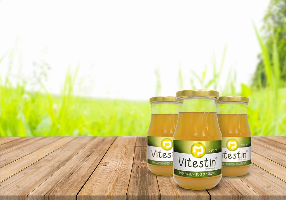 Regenerace střev a zažívání