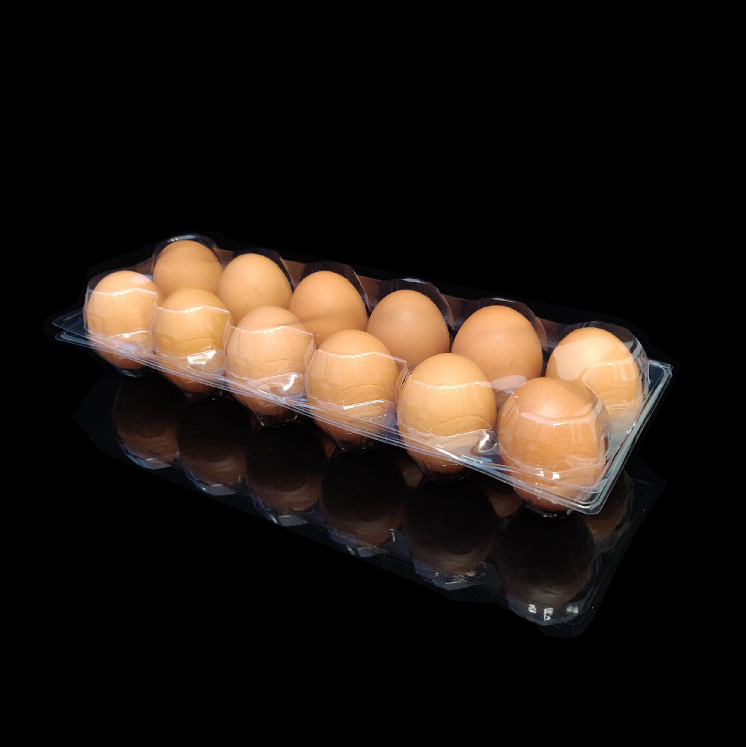 กล่อง EG-12 (กล่องไข่ 12 ฟอง)