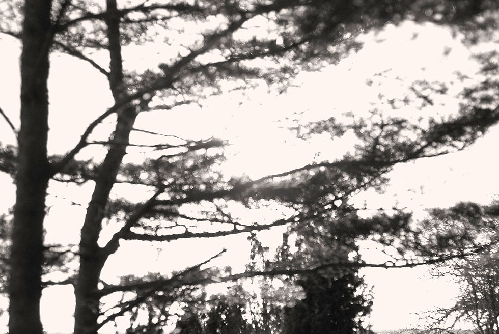 Oskärpa