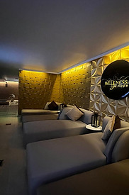 WELLNESS SPA MOVIL.jpg