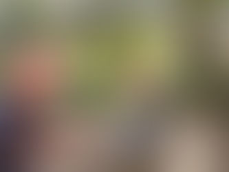 Retour d’aventure : Indonésie, Brunei, Malaisie, Sulawesi et Timor-Leste 🌏✈️