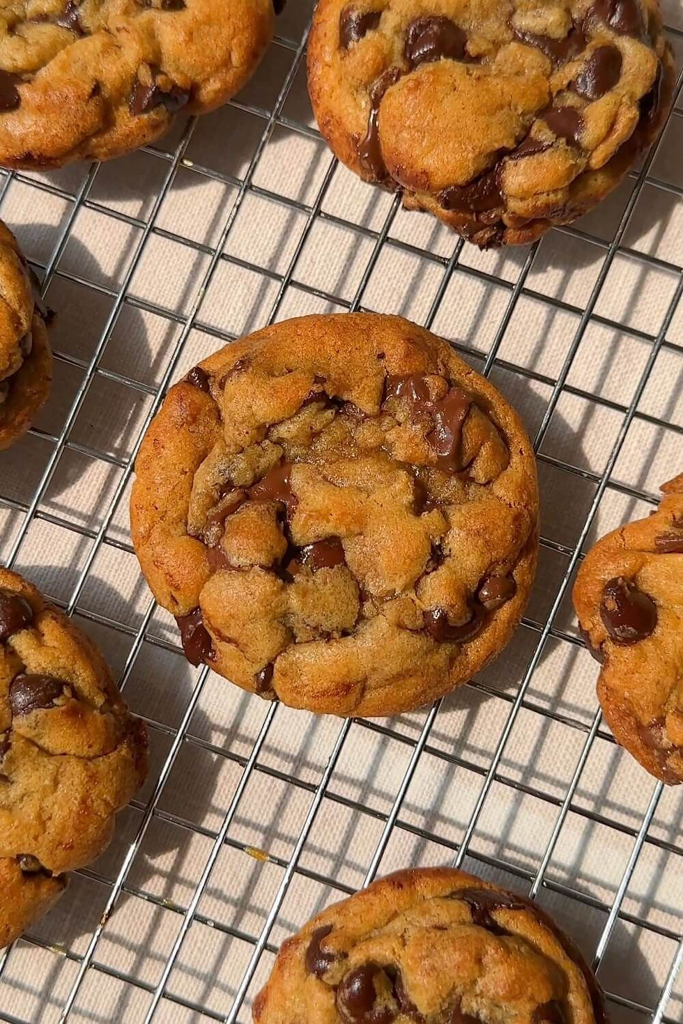 chocolate chip cookie recipe