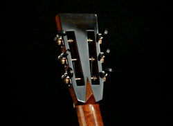 Ebony Back Plate with Waverly Tuners
