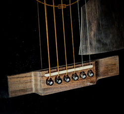 Signature Series Bridge