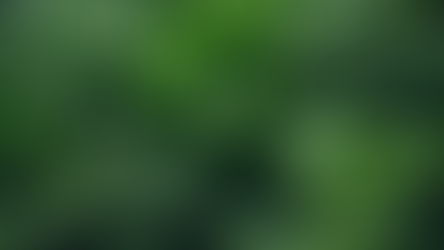 Indoor Plants: A Guide to Maintenance and Care Tips