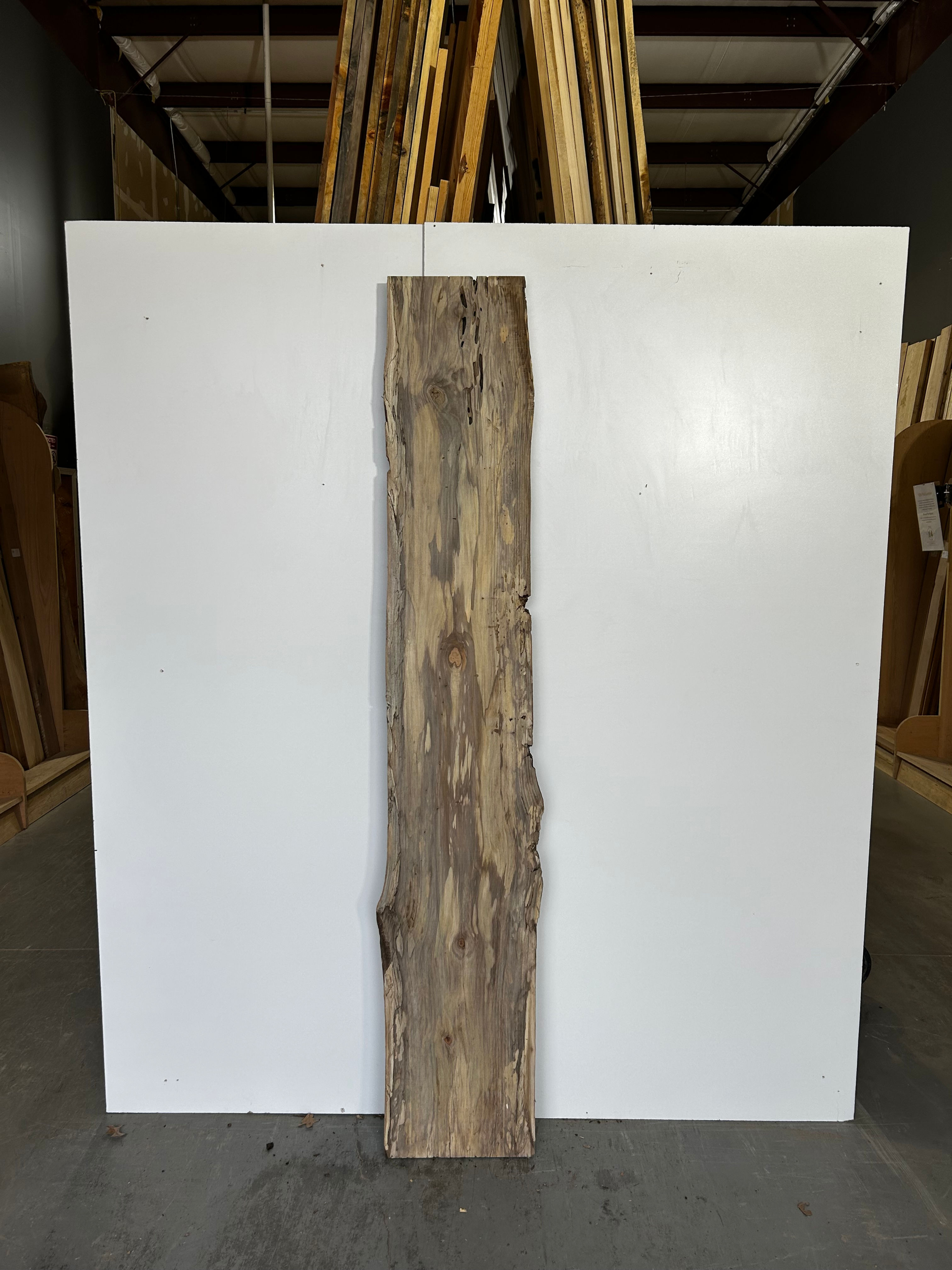 Spalted Sycamore Slab