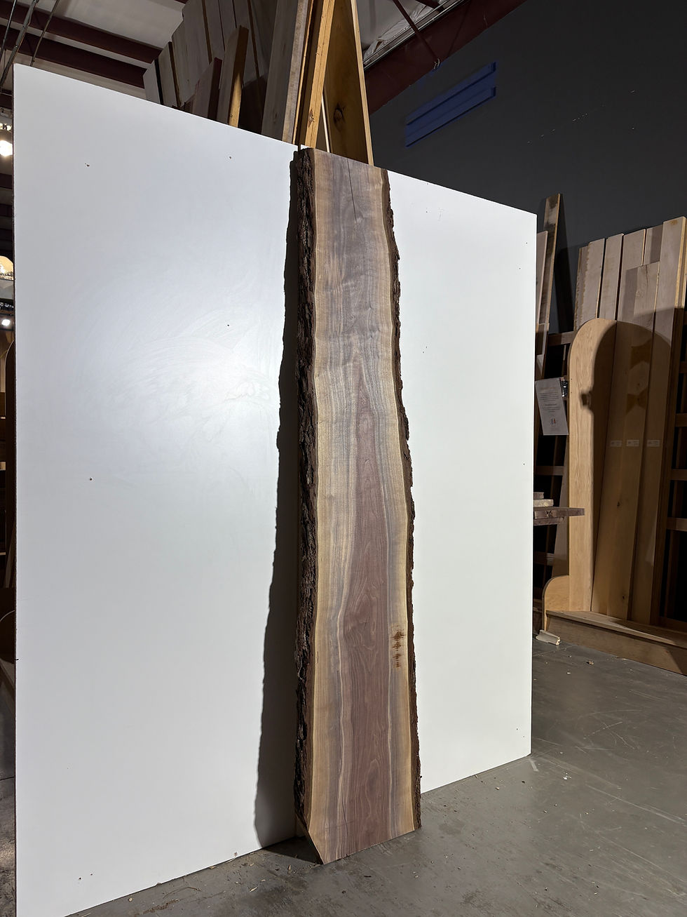 Clear Black Walnut Slab
