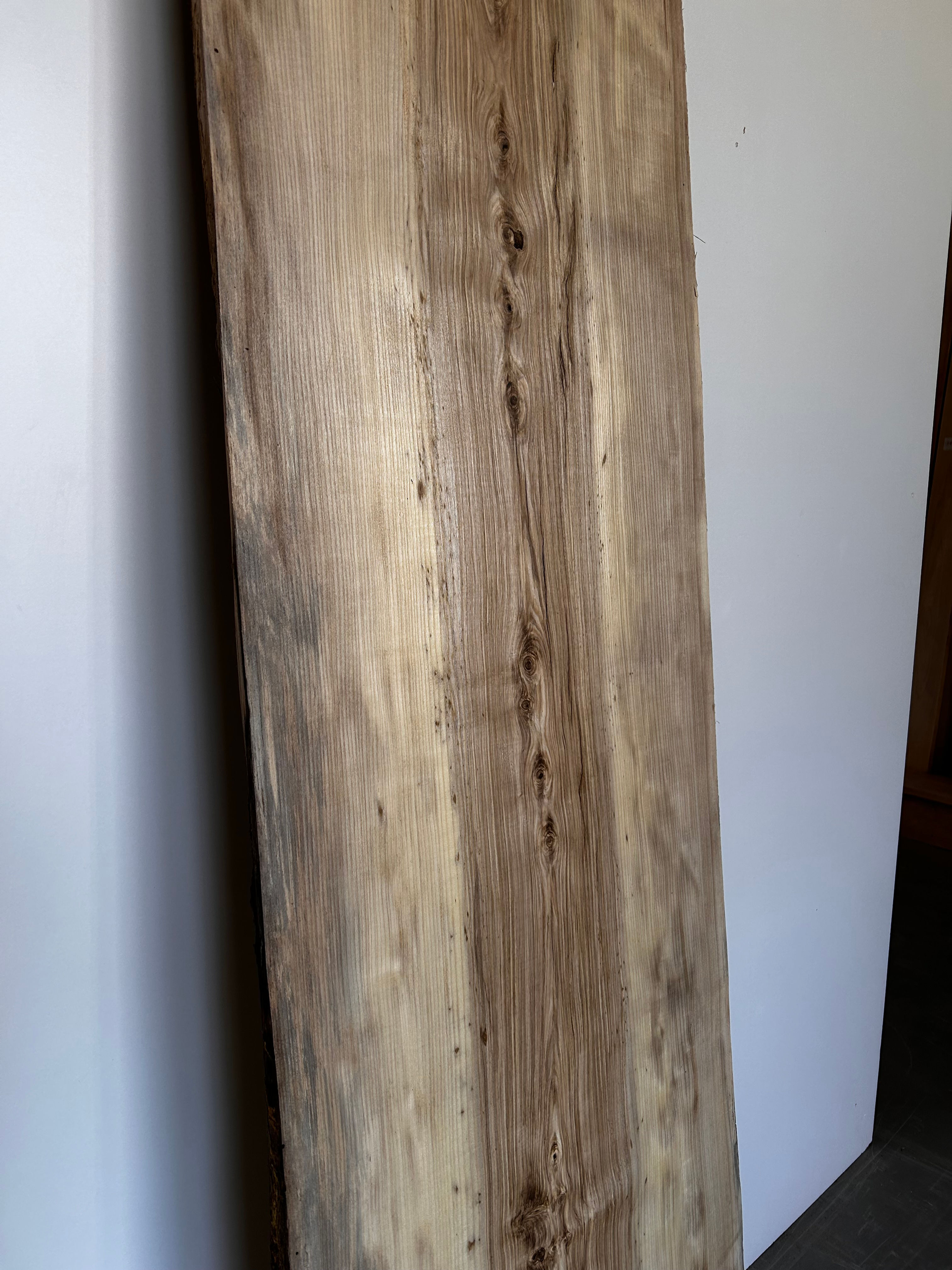 Spalted Hackberry Slab