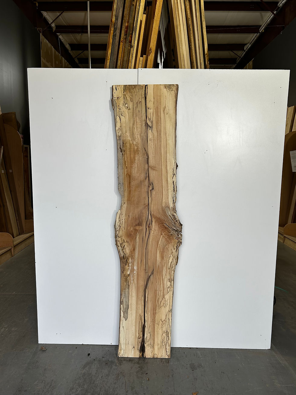 Spalted Sycamore Slab