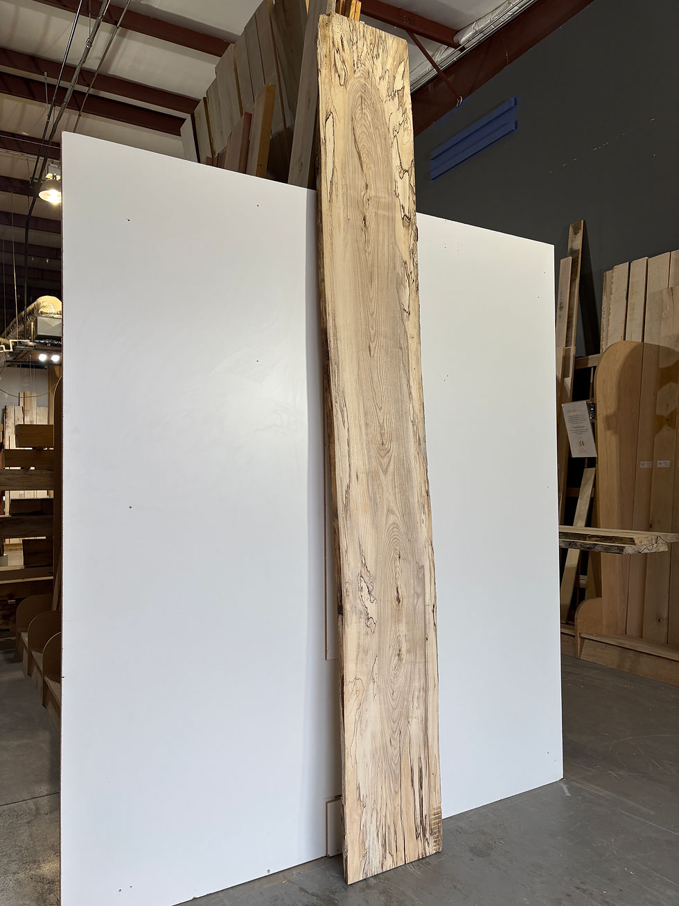 Thumbnail: Spalted Hackberry Slab