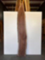 Curly Black Walnut Slab