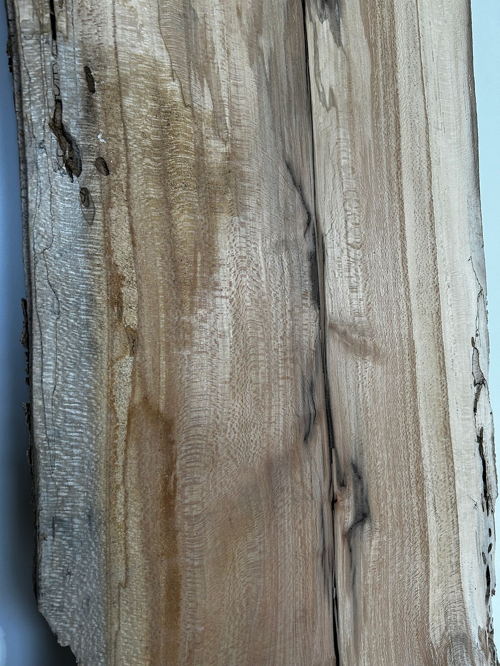 Thumbnail: Spalted Sycamore Slab