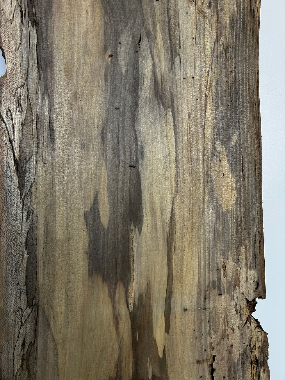 Thumbnail: Spalted Sycamore Slab