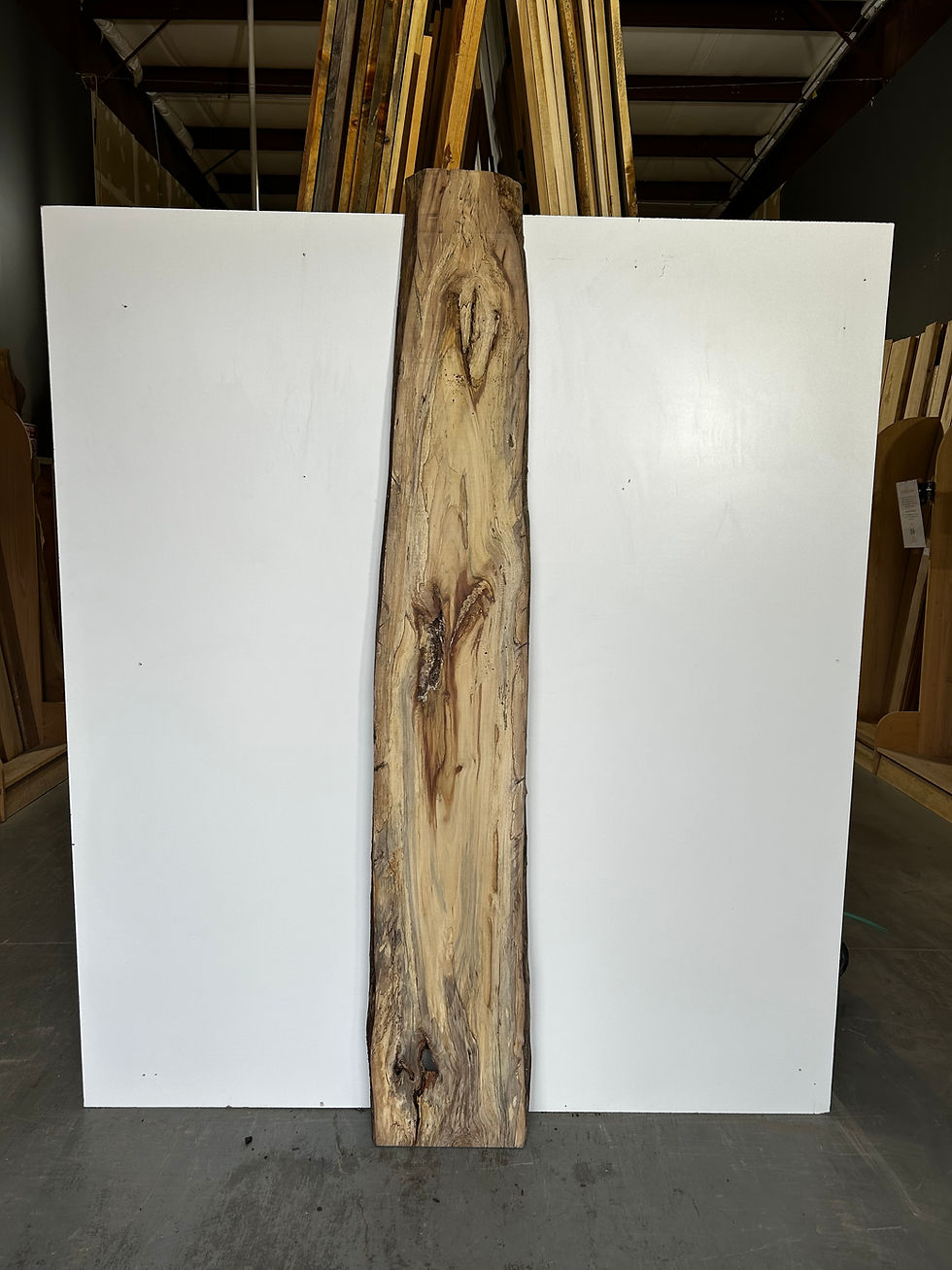 Thumbnail: Spalted Sycamore Slab
