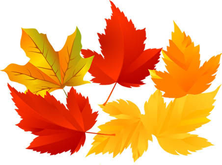 Vector_tree_leaf_452