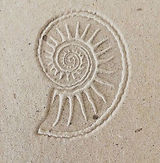 © 𝐃𝑨𝐏𝐇𝐍𝐄.jpg