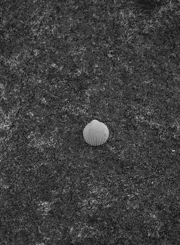 pexels-mathilde-16606650 (1).jpg