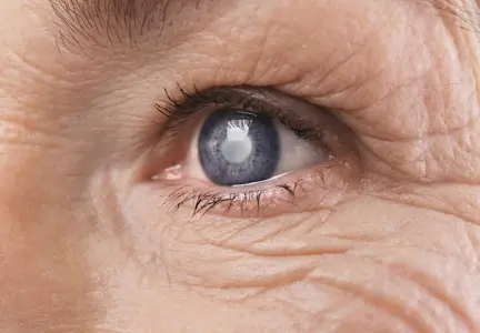 EyeDR.webp