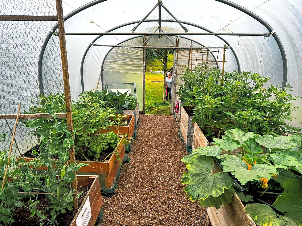 Polytunnel