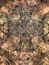 flowers with stitch