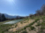 IMG_5793.jpeg