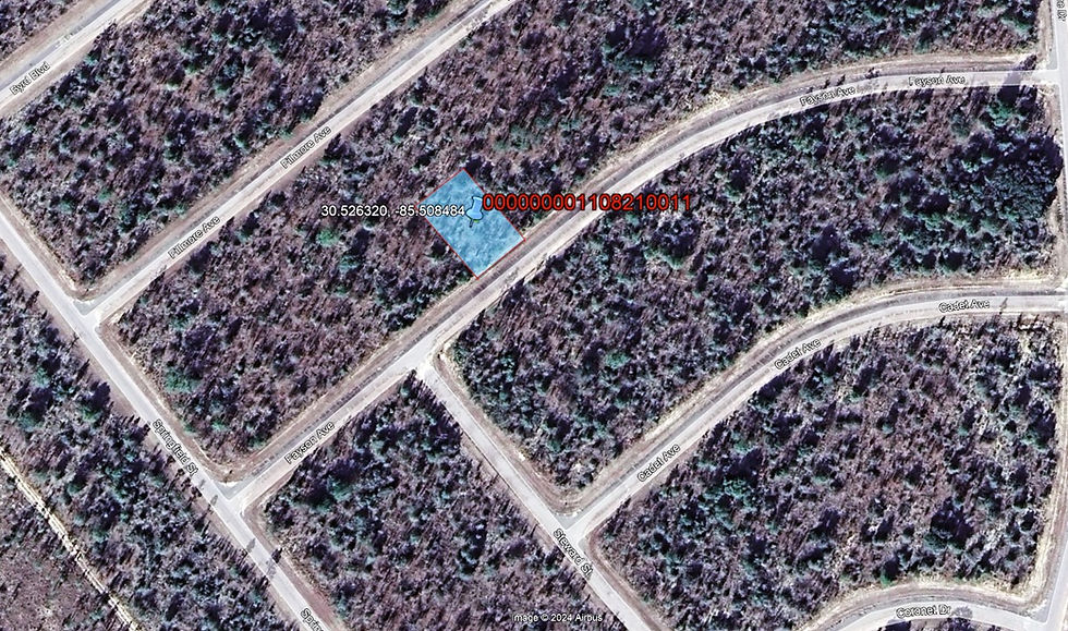 Thumbnail: Enjoy Privacy to Unleash Your Dreams in Sunny Hills, FL!