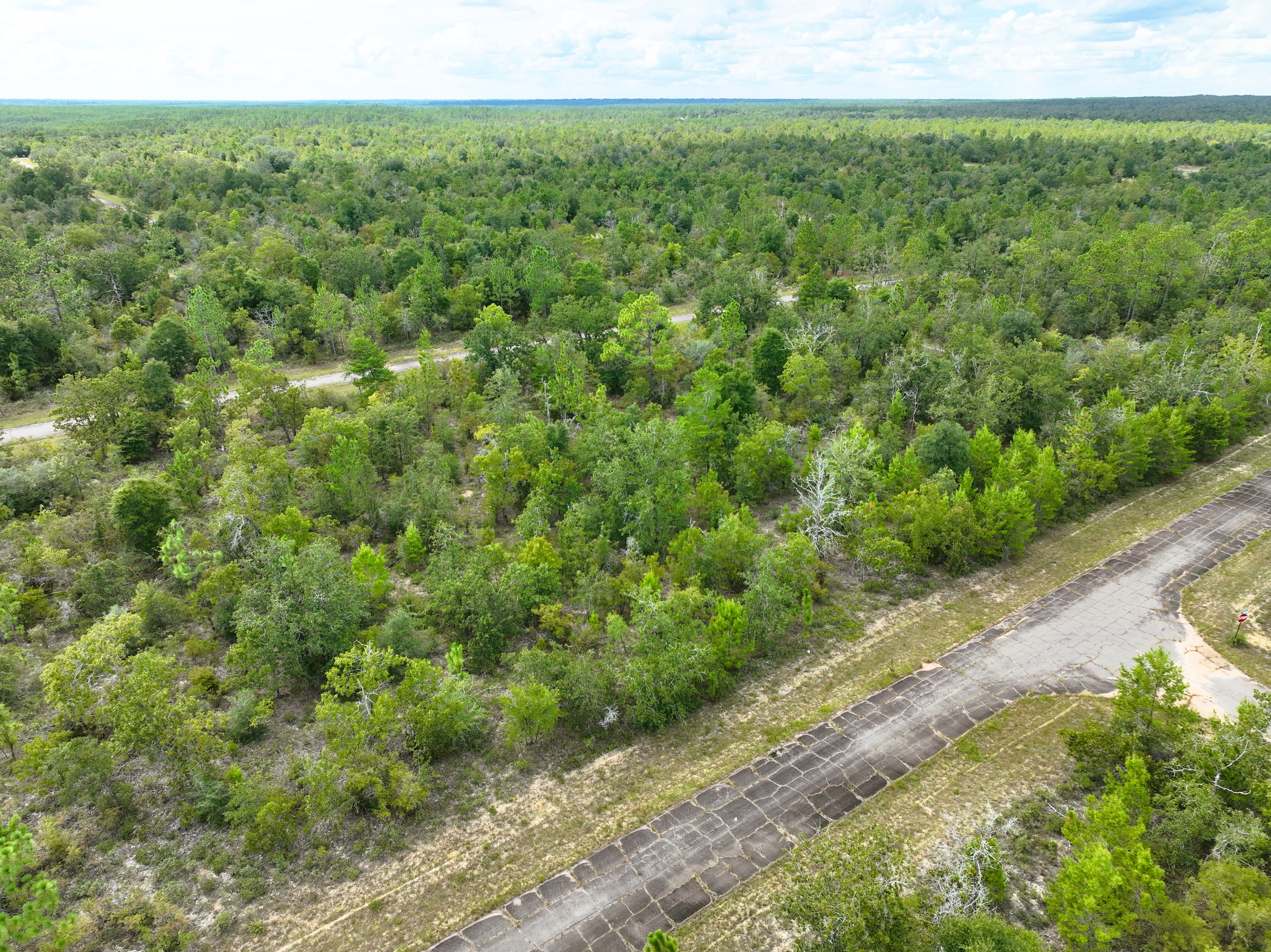 Stunning 1/4-Acre Lot in Sunny Hills, Florida - Secure and Enjoy-$170/Mo.