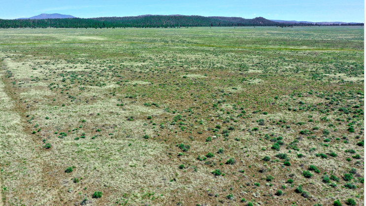 Thumbnail: Gorgeous 1+ Acre Vacant Lot in Klamath! Easy Owner Financing