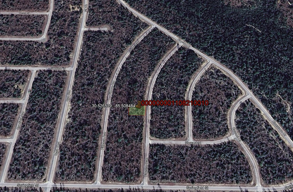 Thumbnail: Stunning 1/4-Acre Lot in Sunny Hills, Florida - Secure and Enjoy-$170/Mo.