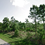 Thumbnail: The Best Florida Adventures Are Waiting For You in Port Charlotte! Only $295/Mo.
