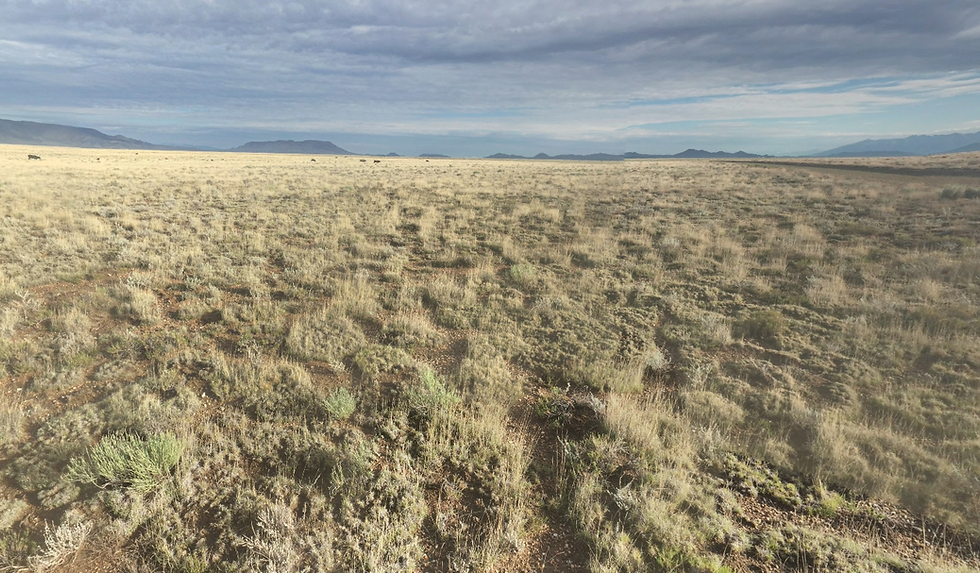 Thumbnail: 5.1 Acres Hide-Away in Colorado! - Owner Finance!