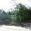 Thumbnail: Gorgeous 1/4-Acre Land Near Lake in Interlachen, Florida! -$159/Monthly