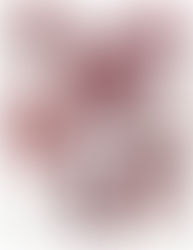 Gaia Design: Color of The Year